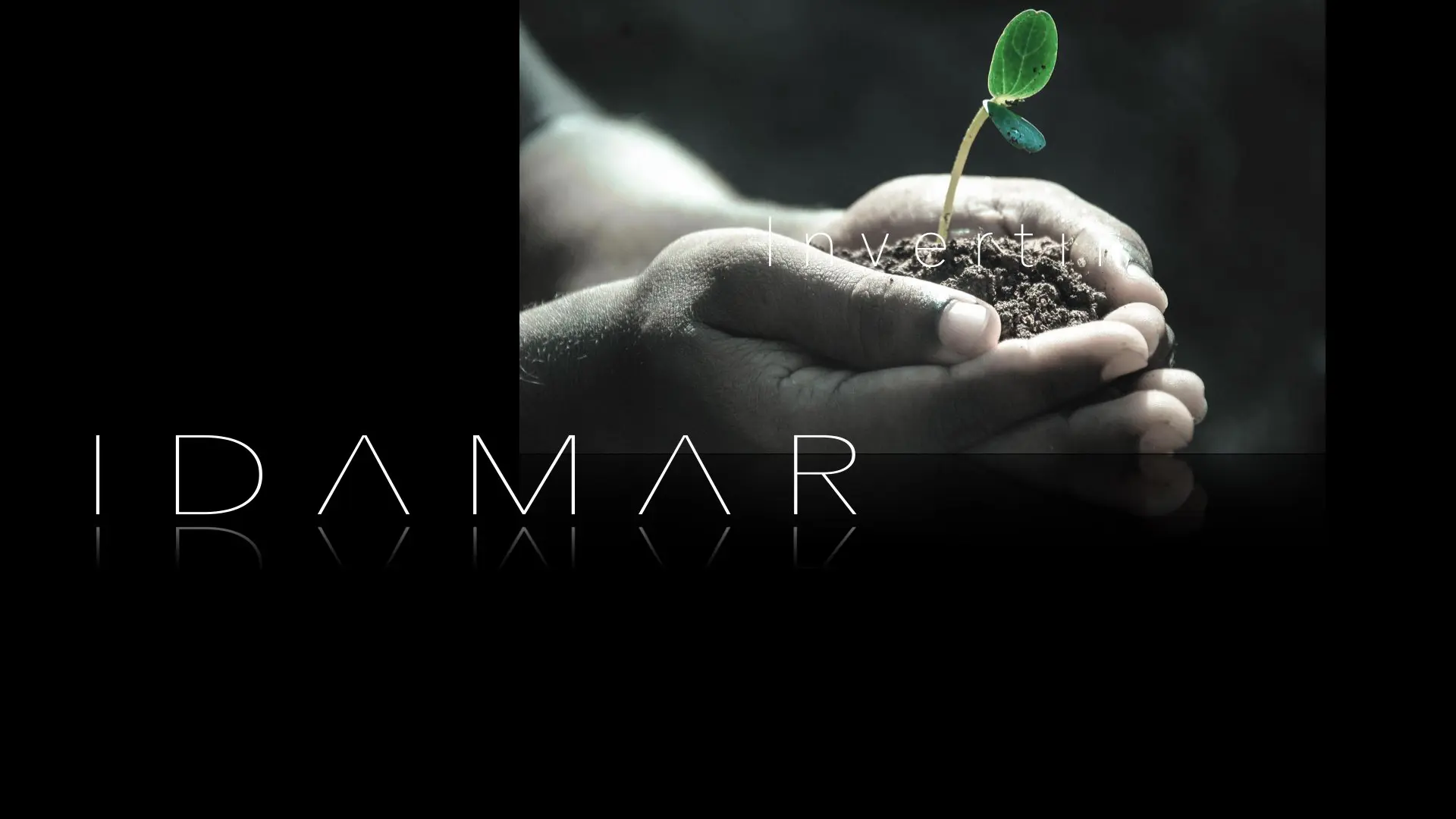 IDAMAR