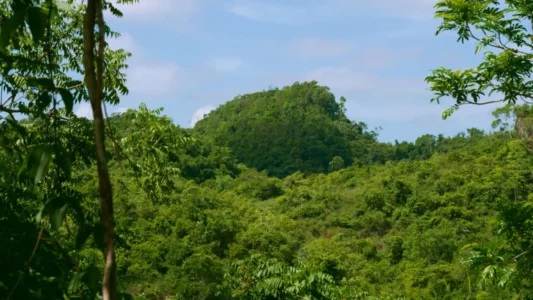 IDAMAR Hills Las Terrenas forest