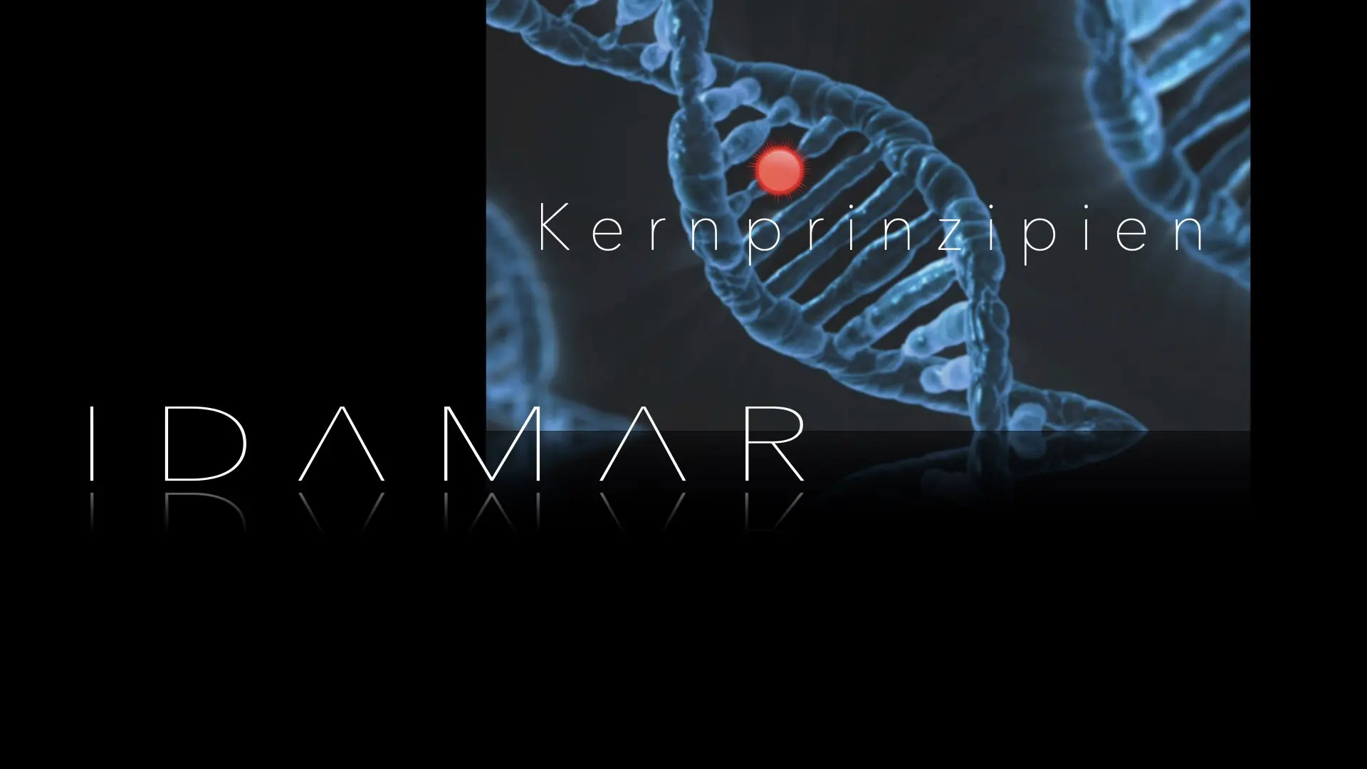 IDAMAR