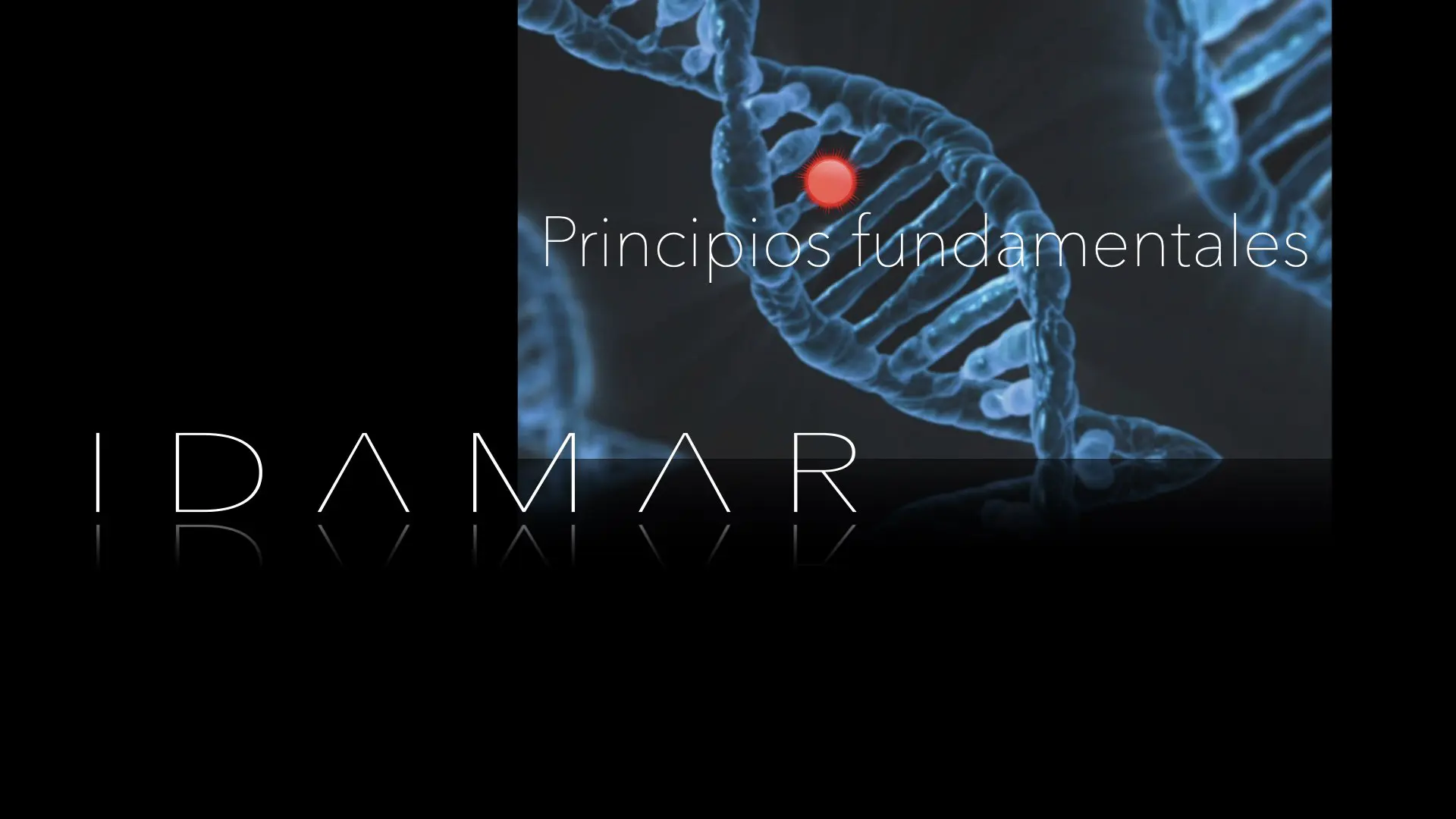 IDAMAR